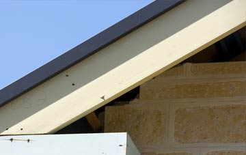 Burntisland fascia repairs