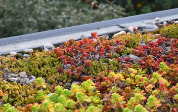 the cost of Burntisland green roof installation