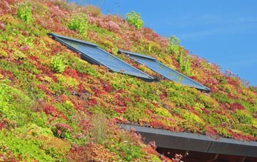 Burntisland living roof systems