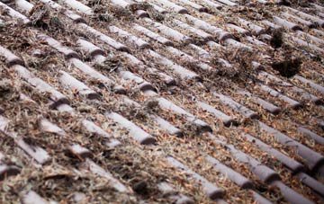 Burntisland roof cleaning companies